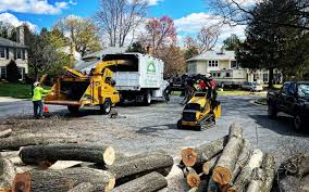 Mulching Services in Milton, WA